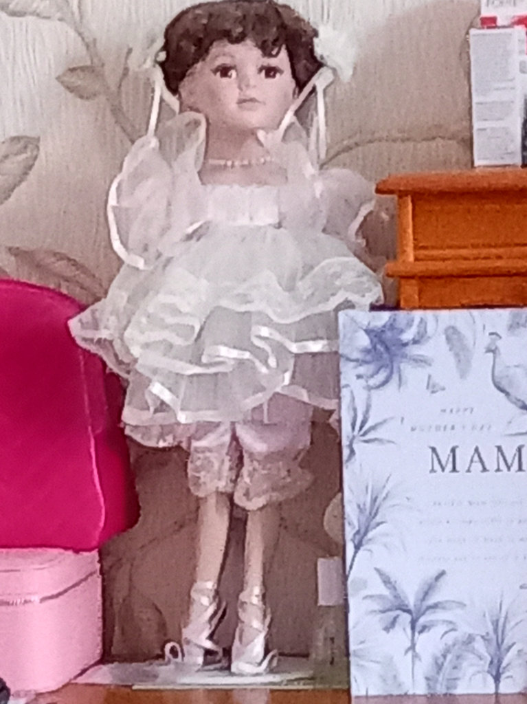 Collectors Beautiful doll