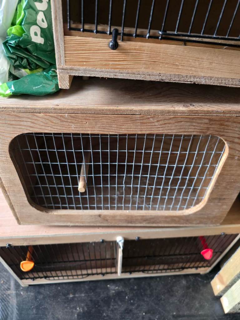 3 bird carrying boxes 
