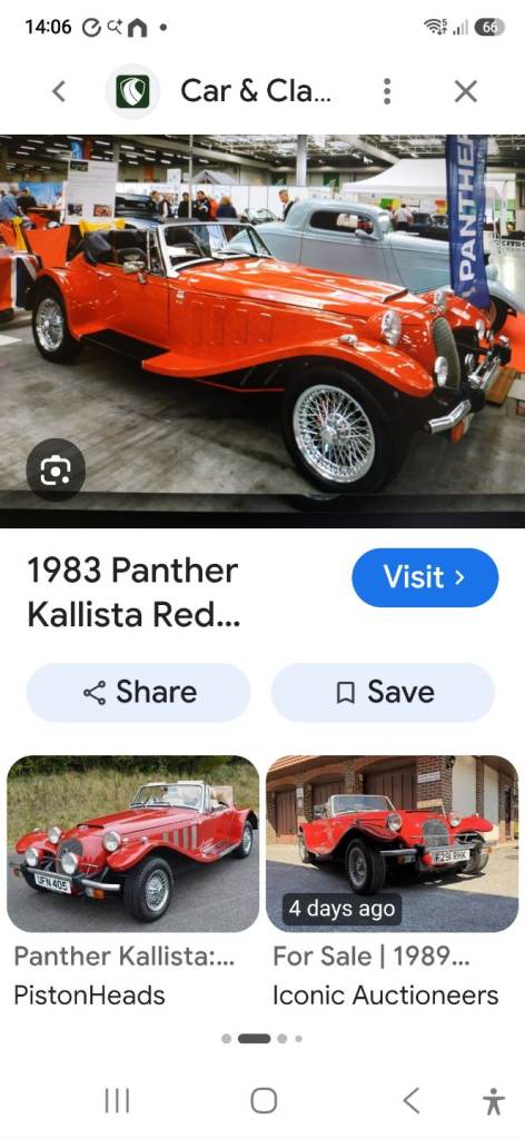 Panther kallista wanted