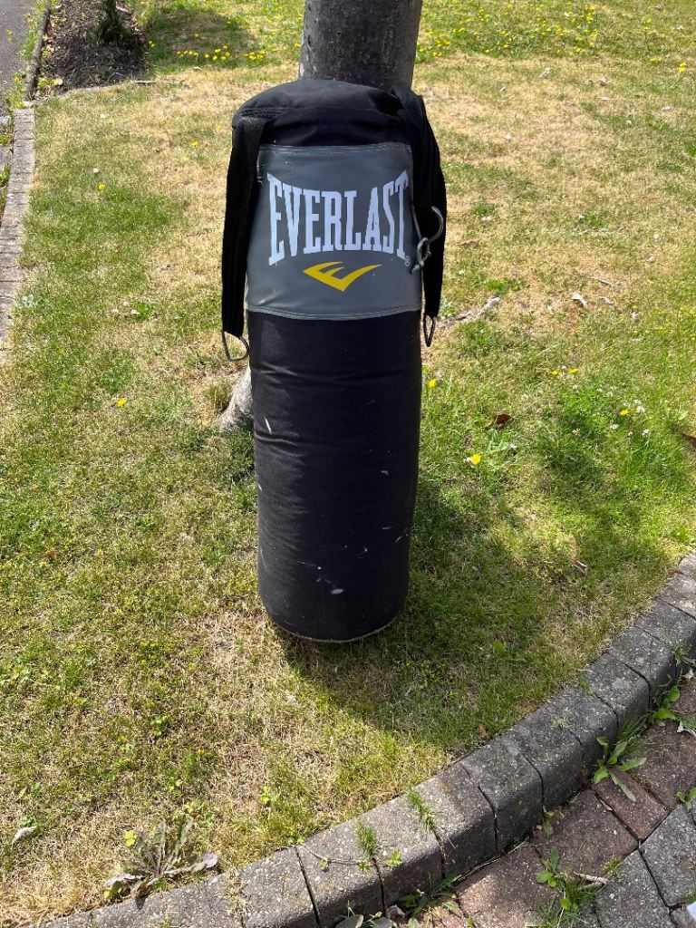 Everlast punch bag