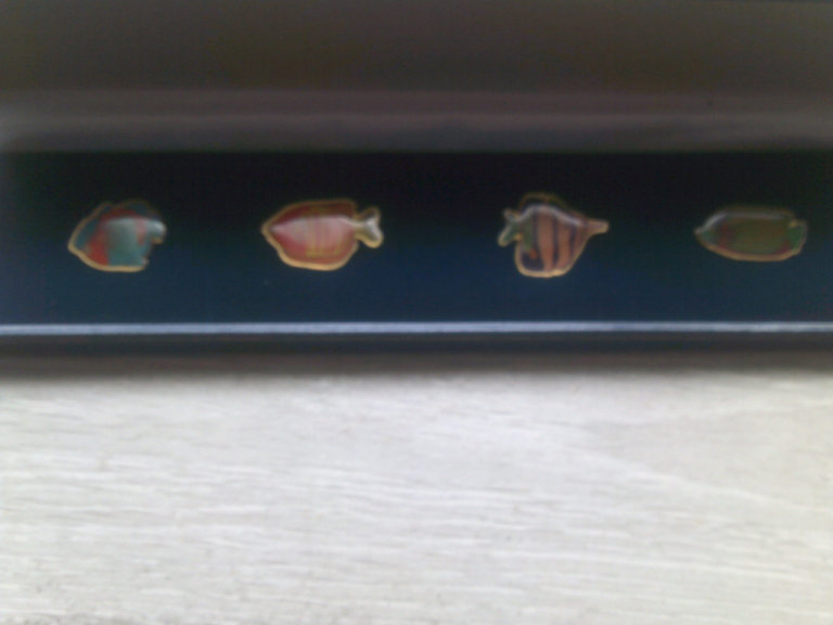 set of 4 fish pin badges  in a box  