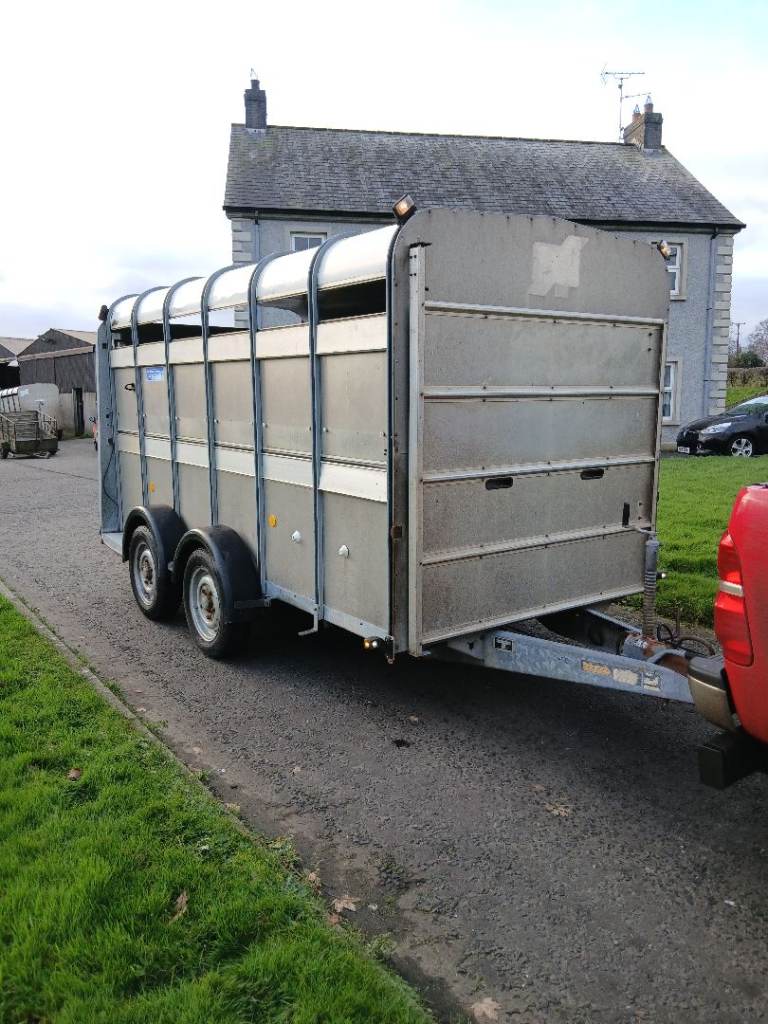 12ft ifor williams cattle trailers 
