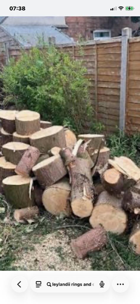 *** FREE CONIFER LOGS *** FIREWOOD *** 