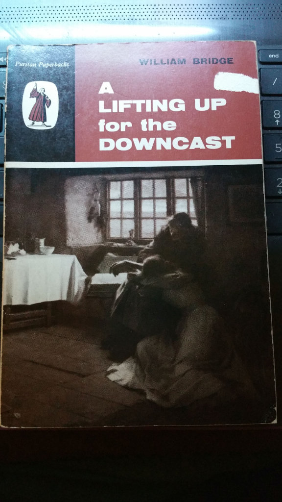 A lifting up for the downcast book