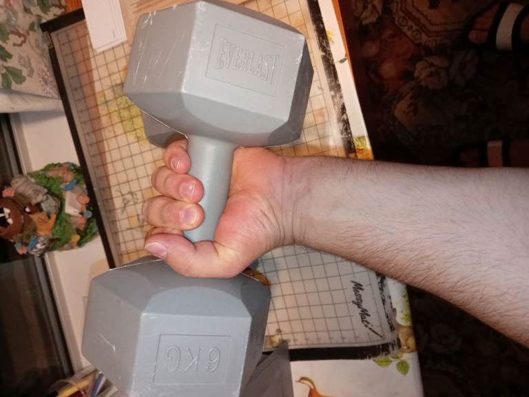 EVERLAST Dumbbells 