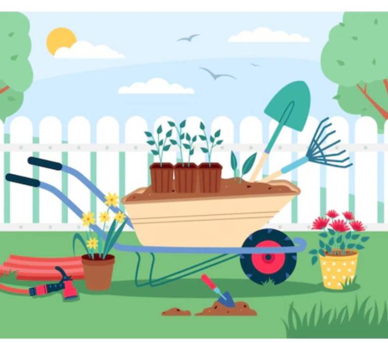 Grass cutting and garden maintenance