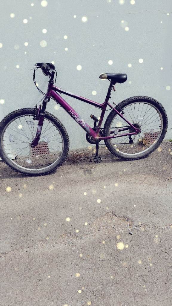 Apolo jewel mountain bike 