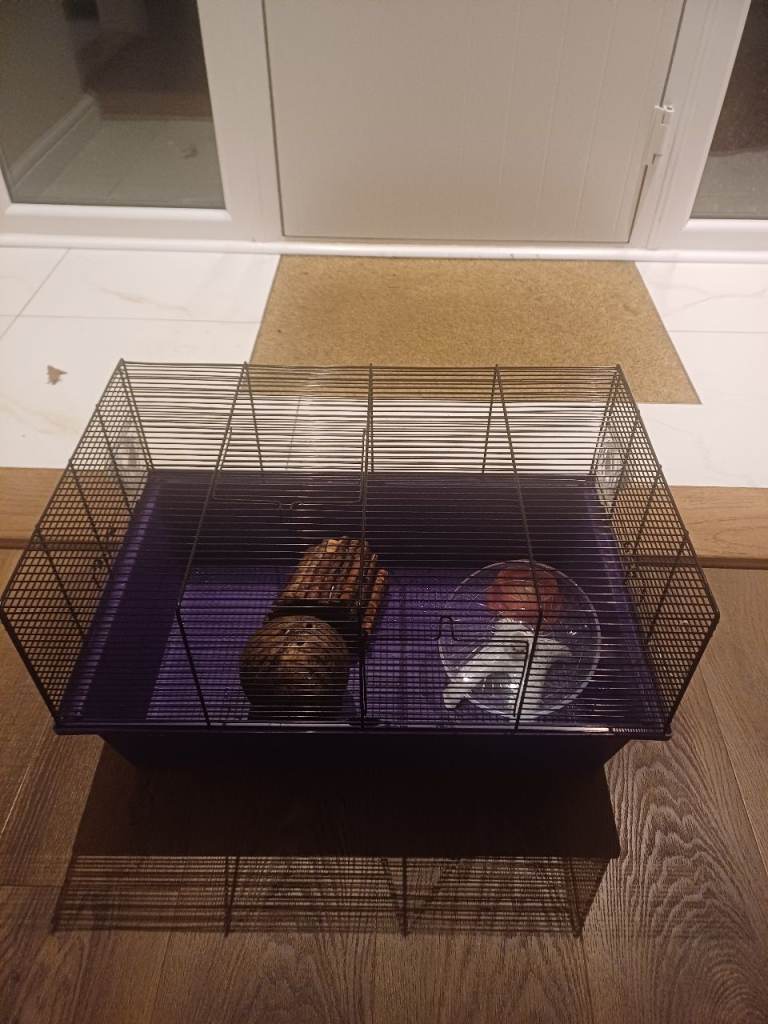 Hamster Cage & Accessories 