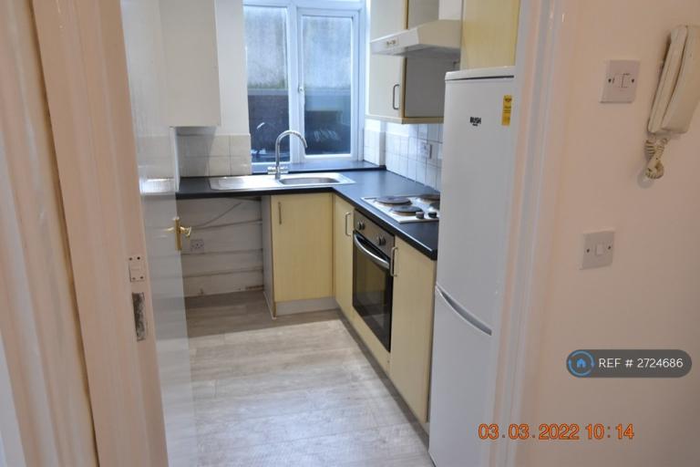 1 bedroom flat in Park Street, Luton, LU1 (1 bed) (#2724686)