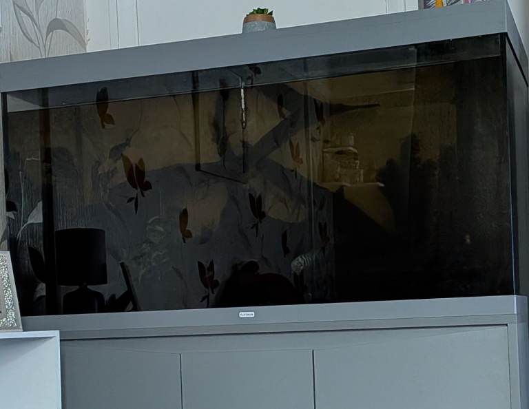 Fish tank  350l 