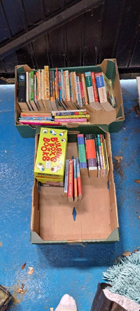 Children's books 