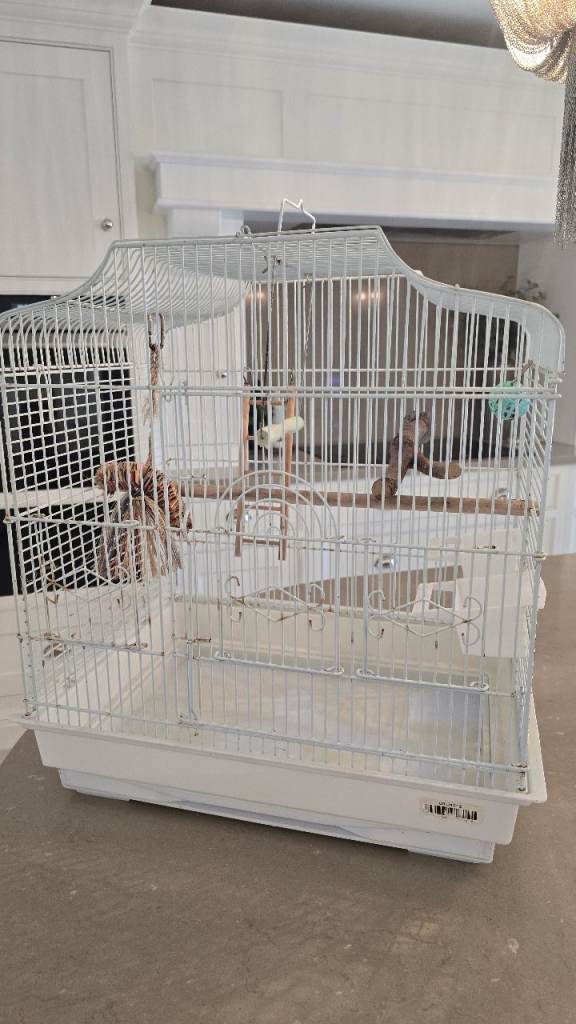 Rainforest Bird Cage Costa Rica Budgie Canary Finch Cages with Tray 36x46x52 cm