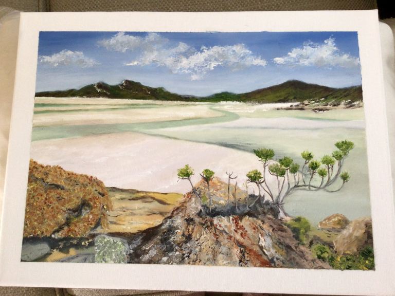 Reduced Tree Ferns, Blue Mountains, New South Wales