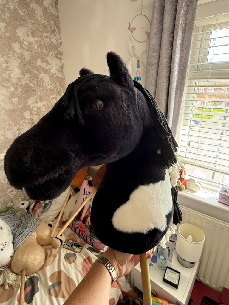 3 hobby horses for sale 