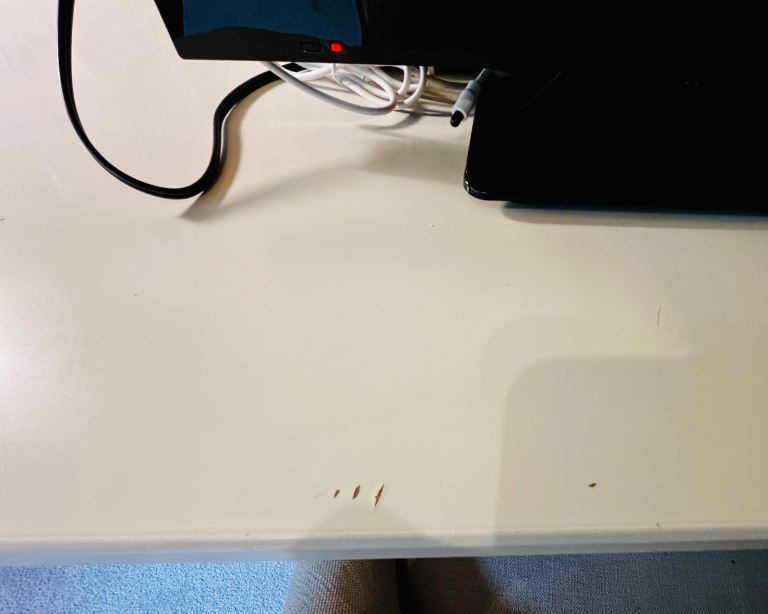 HABITAT Brooklyn High Sleeper Bunk Bed, Desk & Shelf - white