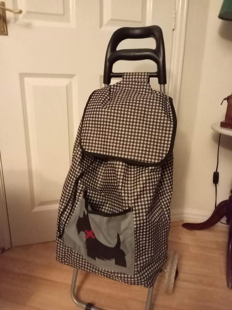 Gingham Shopping Trolley with Scottie Dog Design