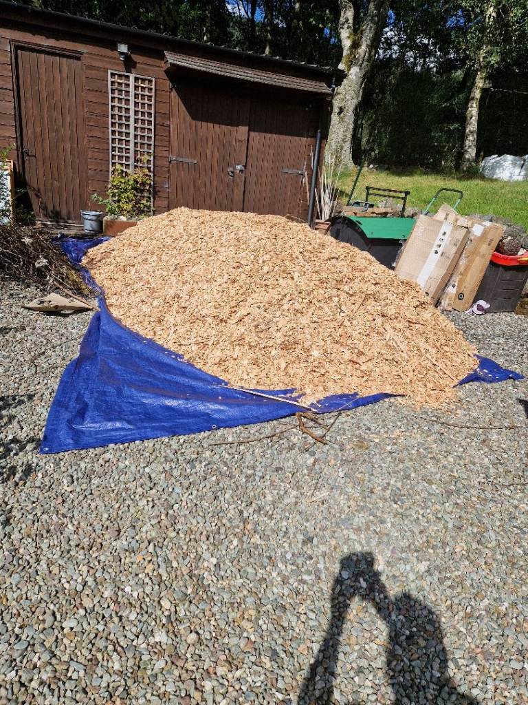 Bark-mulch or woodchip 
