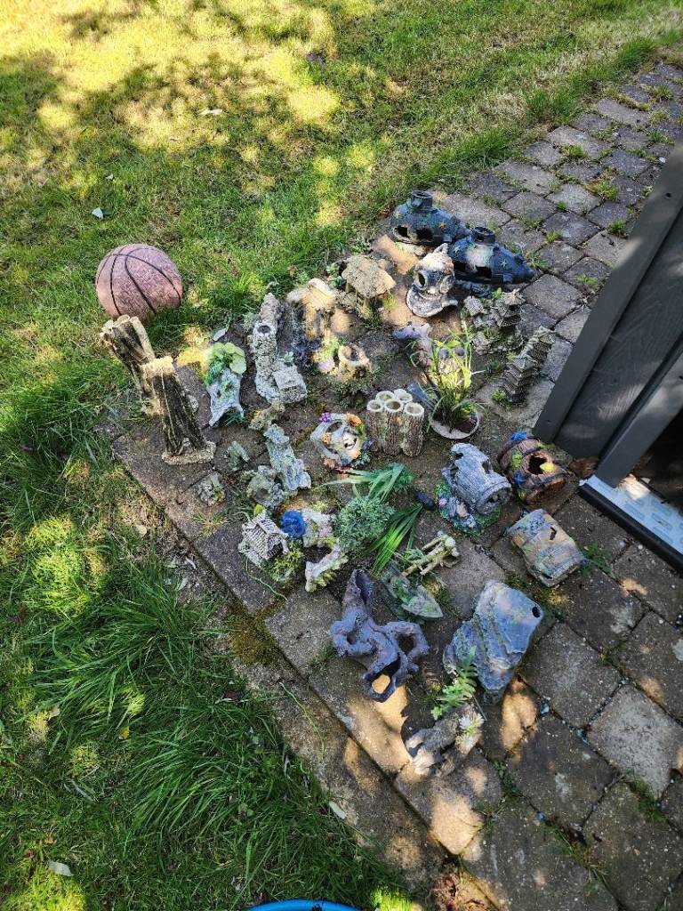 Bargain range of aquarium tank ornaments caves plants