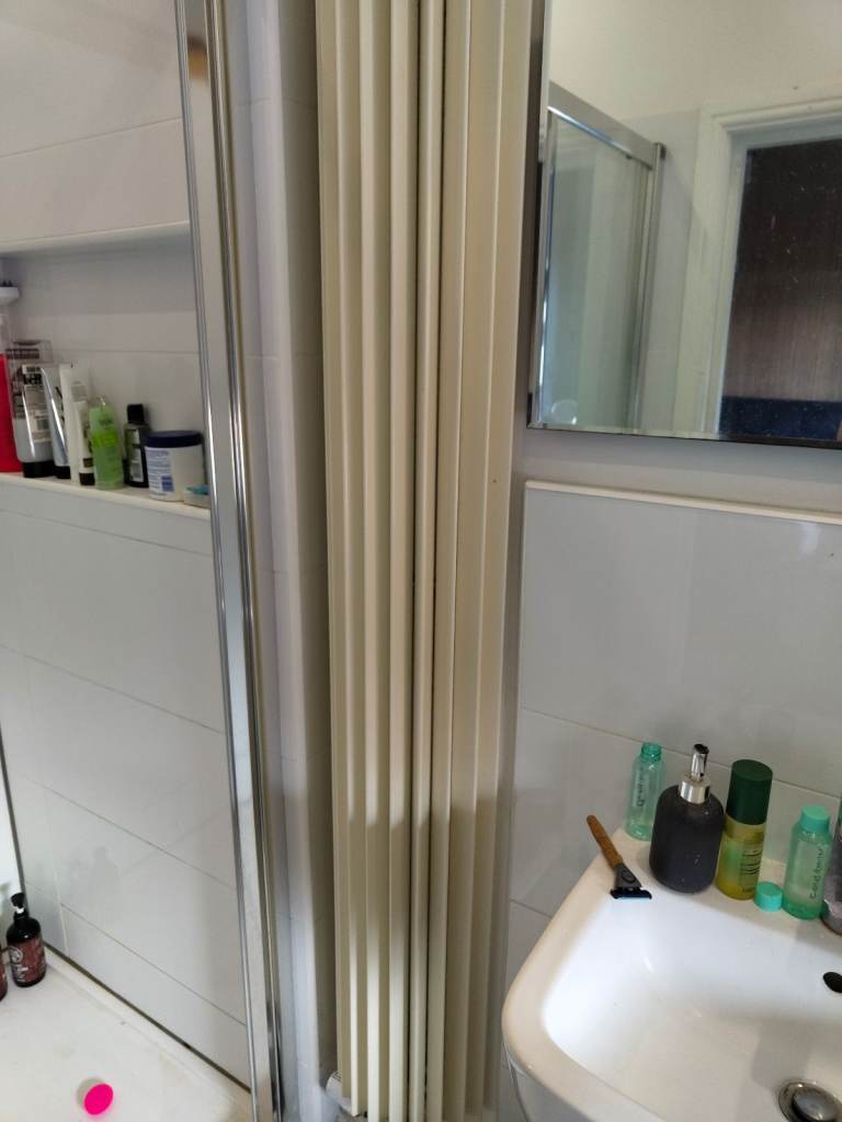 Tall curved vertical designer radiator 