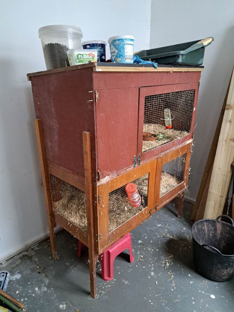 Guinea-pig or small rabbit hutch