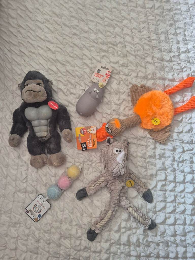 Dog toy bundles 