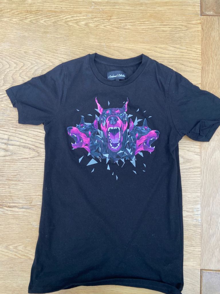 Boys T-Shirts,  4 for £25, size medium,  from Footasylum . 