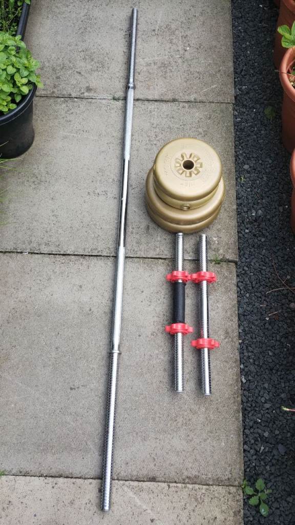 York Barbell and Dumbbells with Gold Weight Plates