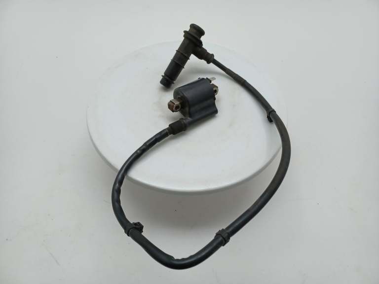 Honda Nc 750 Coil/Coil Pack 2014-2021
