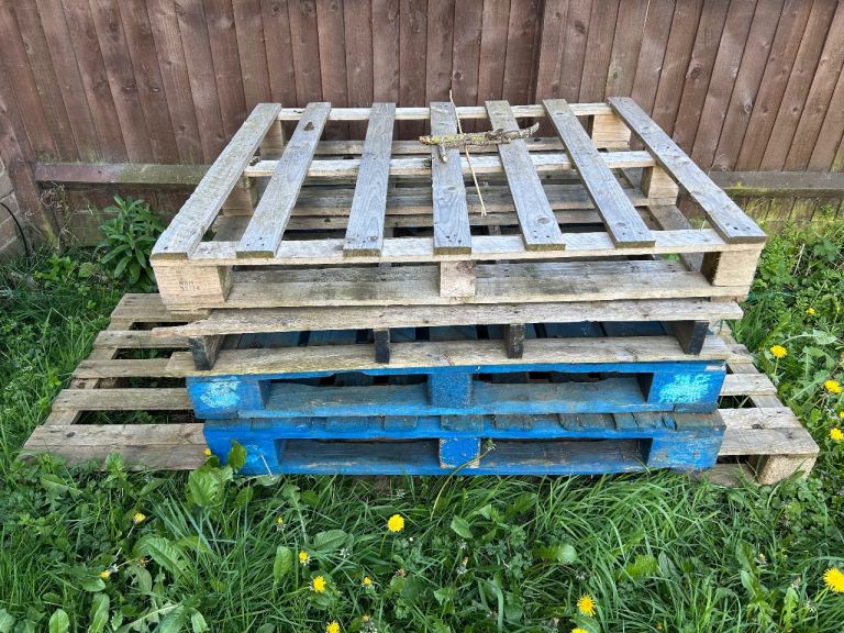 Free Wooden Pallets (x5) - SE9
