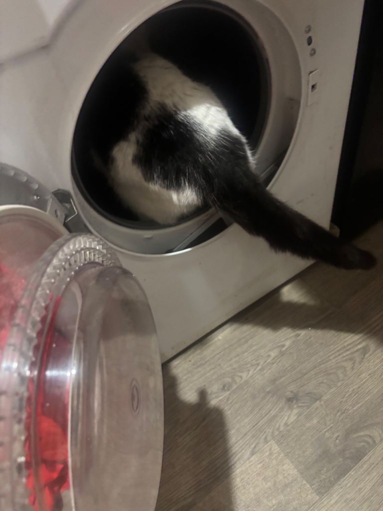 Washer needed asap 