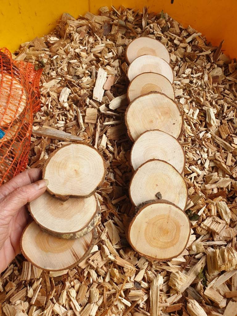 50 LOG SLICES, 7-10cm diameter, cut tree branch slices for art, crafts, mozaics, art work