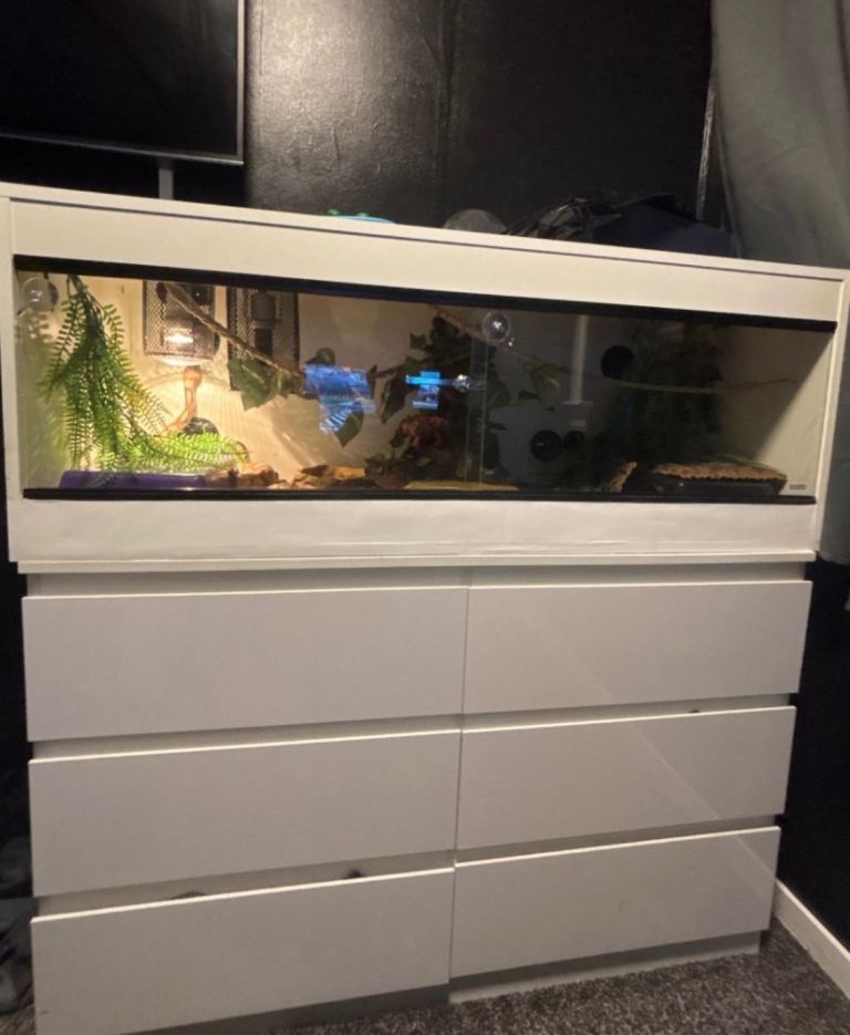 4 ft Vivarium white everything is included check the pictures 