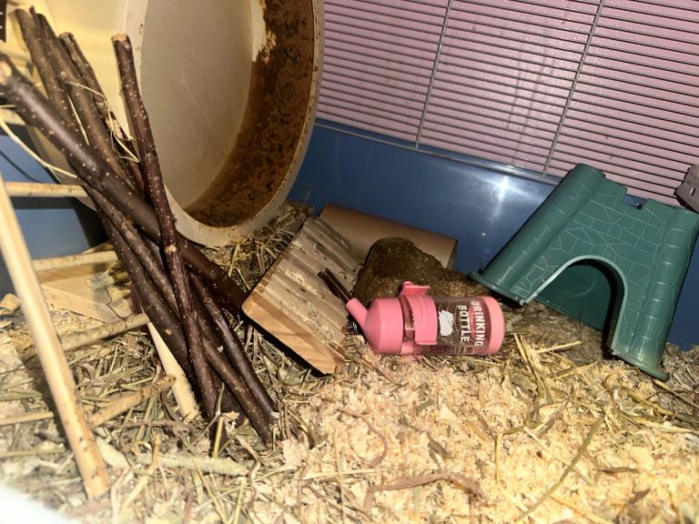 Hamster bundle