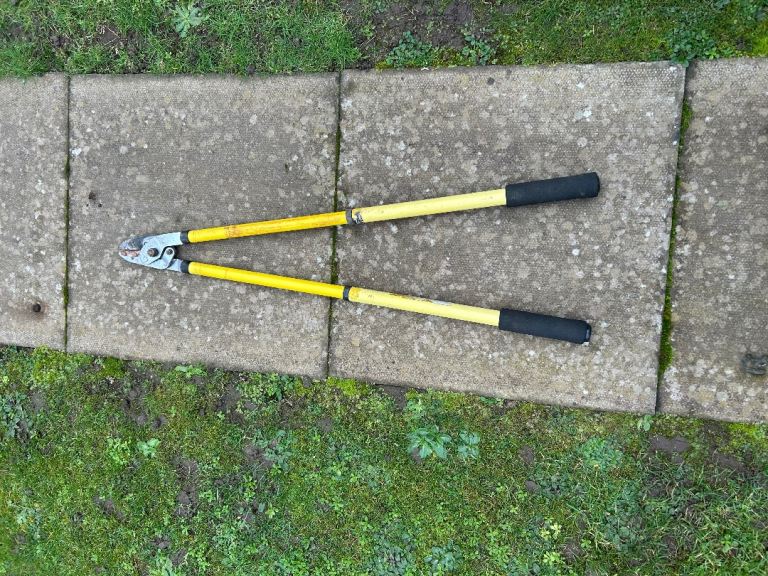 Extendable hedge branch cutter 