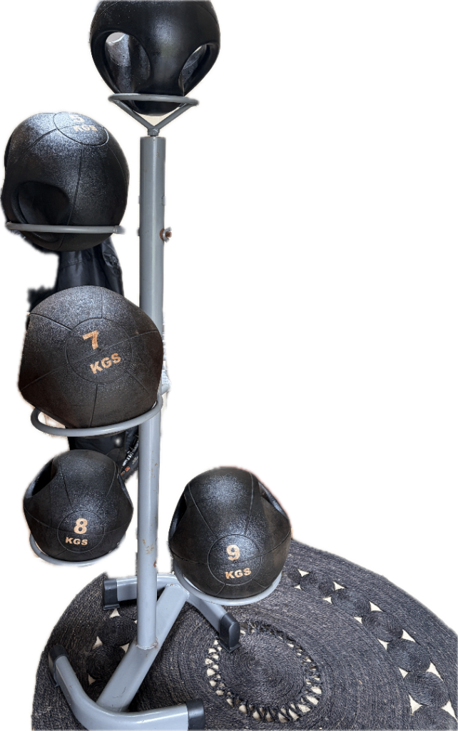 Medicine weight balls and rack