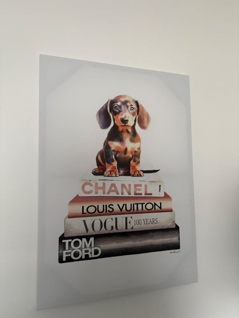 Cute Dachshund Puppy on Fashion Books Canvas Wall Art
