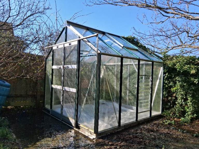 Elite Greenhouse for Garden (8x8ft)