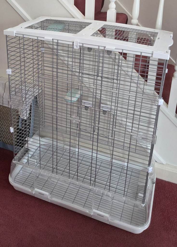 Bird Cage