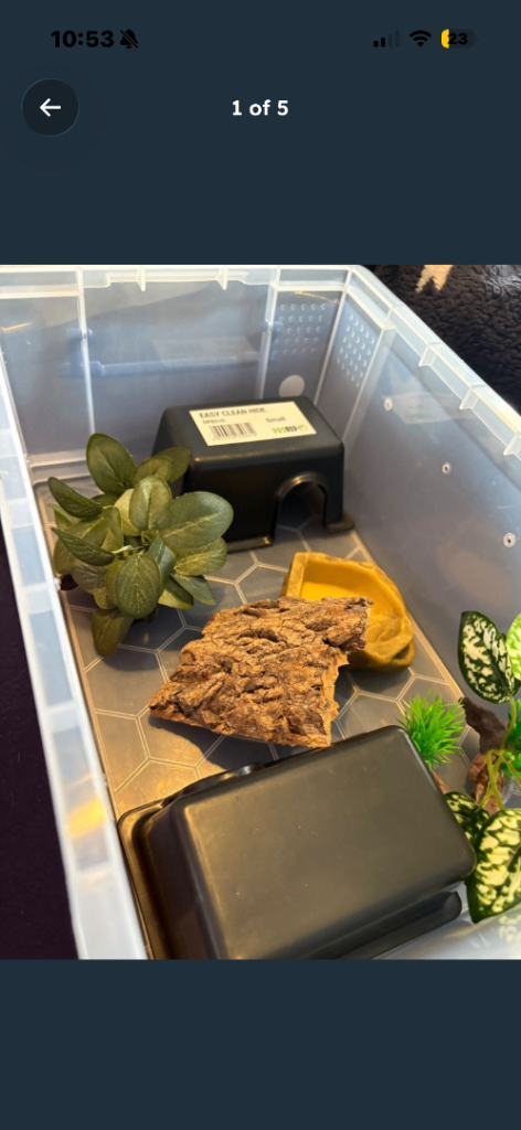 Small snake starter kit with heat mat (reptile, corn snake, ball python 