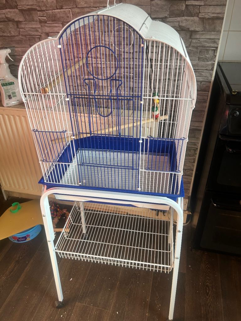 White and blue bird cage with stand and accessories
