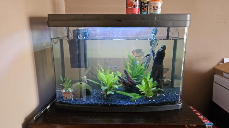 65l fish tank with filter and heater (no fish)