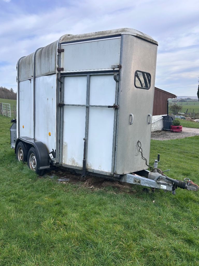 Ifor Williams 505 horse box 