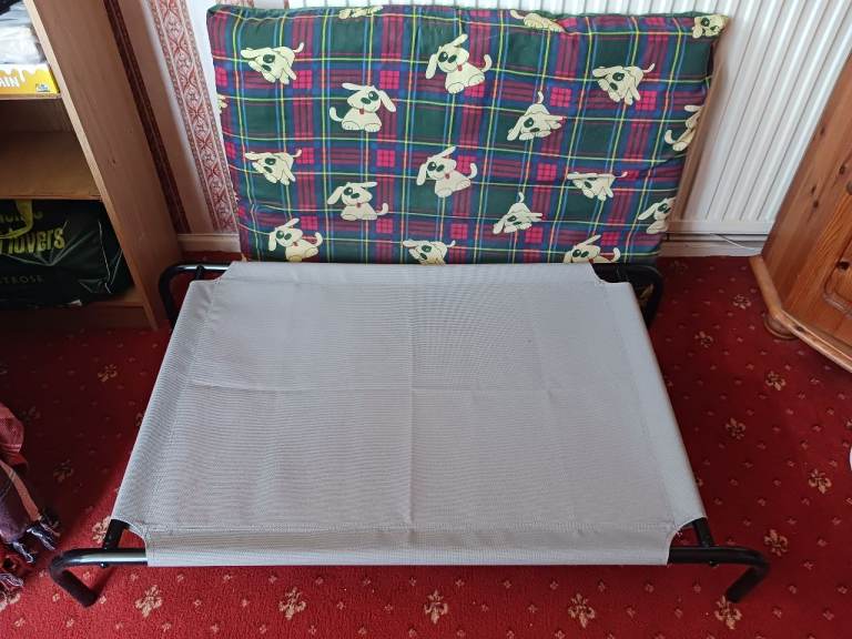 Raised Dog Bed and Mattress 