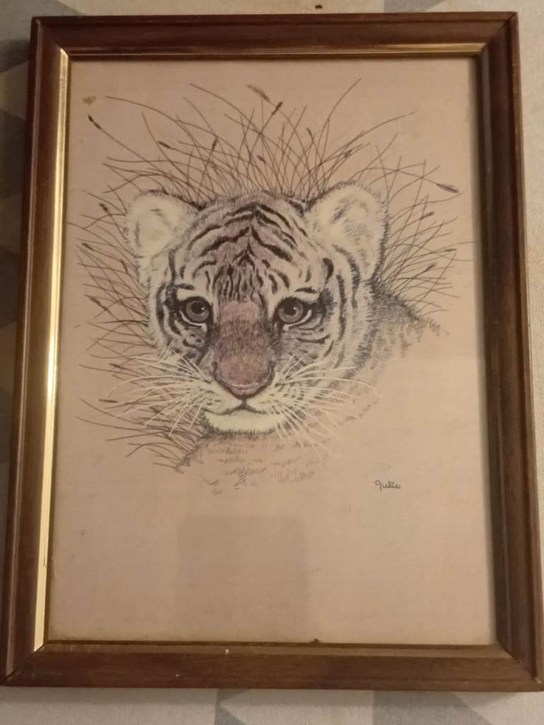 Framed Tiger Cub Sketch Drawing – Good Condition