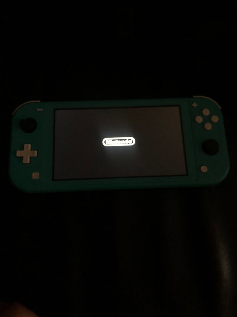 Nintendo switch lite- teal colour ( plus a ps4 controller) 