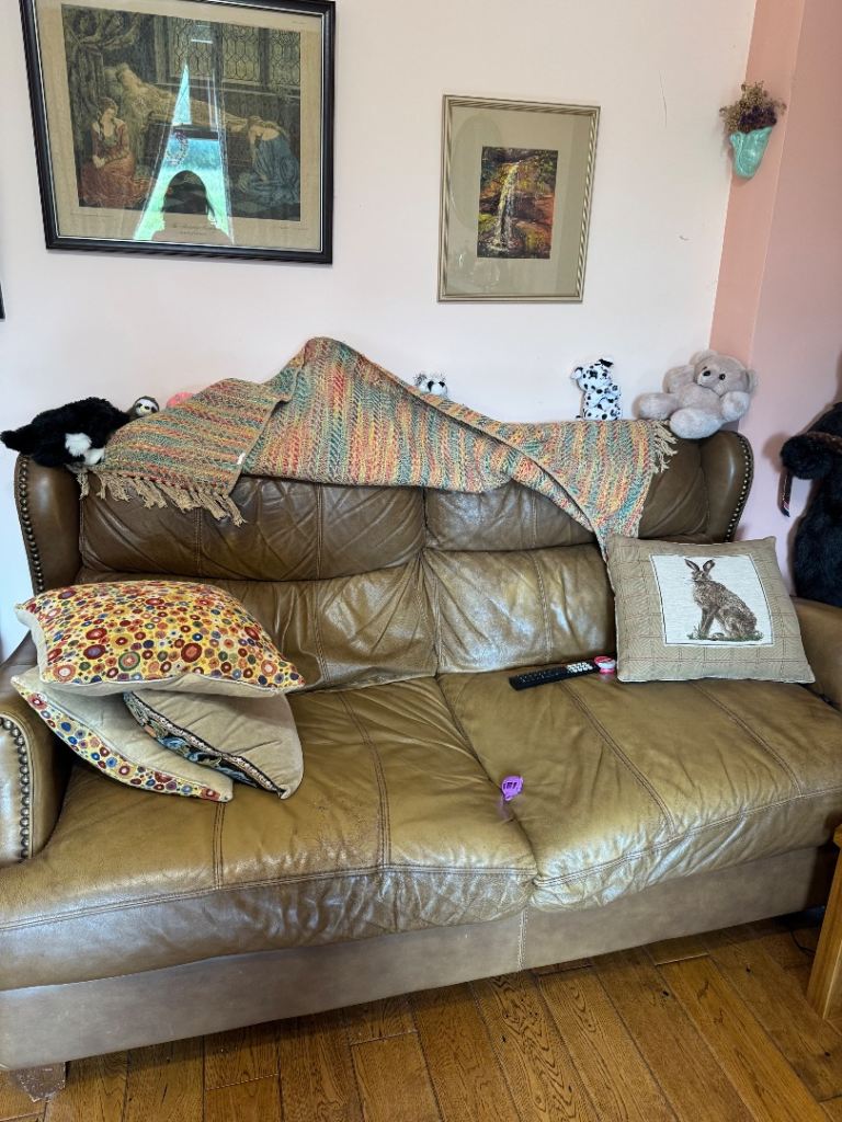 Brown Leather Sofa
