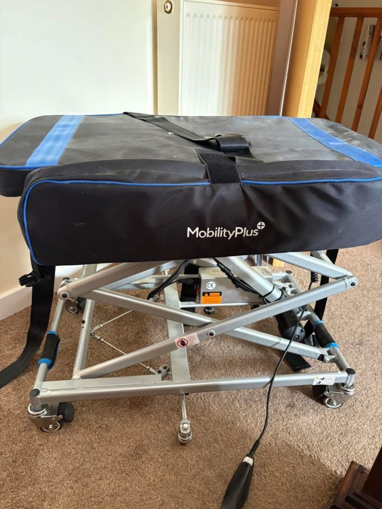 Mobility lifting buddy