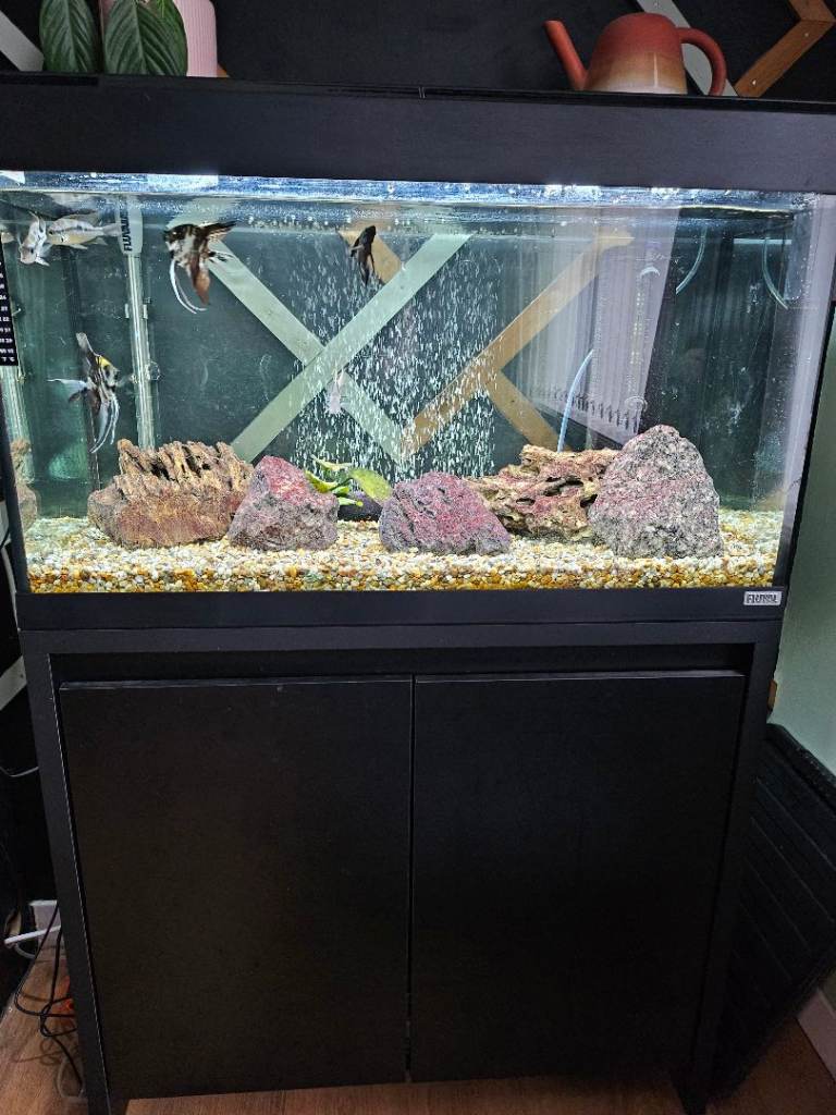Fluval Roma 125l fish tank