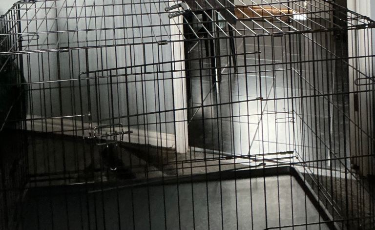 XL dog crate with 2 doors & mat