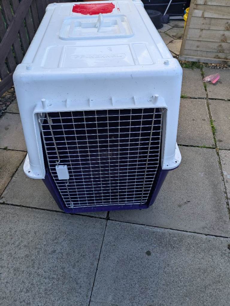 Large dog crate 